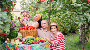 Sitka chiropractic summer health tips