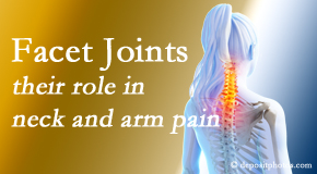 Arctic Chiropractic, Sitka carefully examines, diagnoses, and treats cervical spine facet joints for neck pain relief when they are involved.