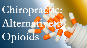 Pain control drugs like opioids aren’t always effective for Sitka back pain. Chiropractic is a beneficial alternative.