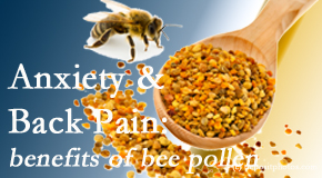 Arctic Chiropractic, Sitka presents info on the benefits of bee pollen on cognitive function that may be impaired when dealing with back pain.