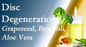 Arctic Chiropractic, Sitka presents interesting studies on how to treat degenerated discs with grapeseed oil, aloe and broccoli sprout extract.