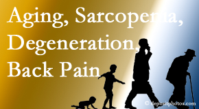 Arctic Chiropractic, Sitka lessens a lot of back pain and sees a lot of related sarcopenia and back muscle degeneration.