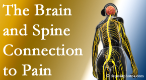 Arctic Chiropractic, Sitka looks at the connection between the brain and spine in back pain patients to better help them find pain relief.