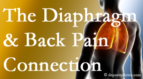 Arctic Chiropractic, Sitka recognizes the relationship of the diaphragm to the body and spine and back pain. 