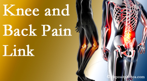 Arctic Chiropractic, Sitka treats back pain and knee osteoarthritis to help prevent falls.