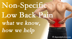 Arctic Chiropractic, Sitka share the specific characteristics and treatment of non-specific low back pain. 