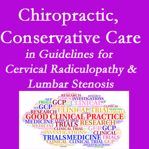 Sitka chiropractic care for cervical radiculopathy and lumbar spinal stenosis is often ignored in medical studies and recommendations despite documented benefits. 