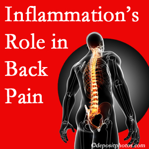 The role of inflammation in Sitka back pain is real. Chiropractic care can help.