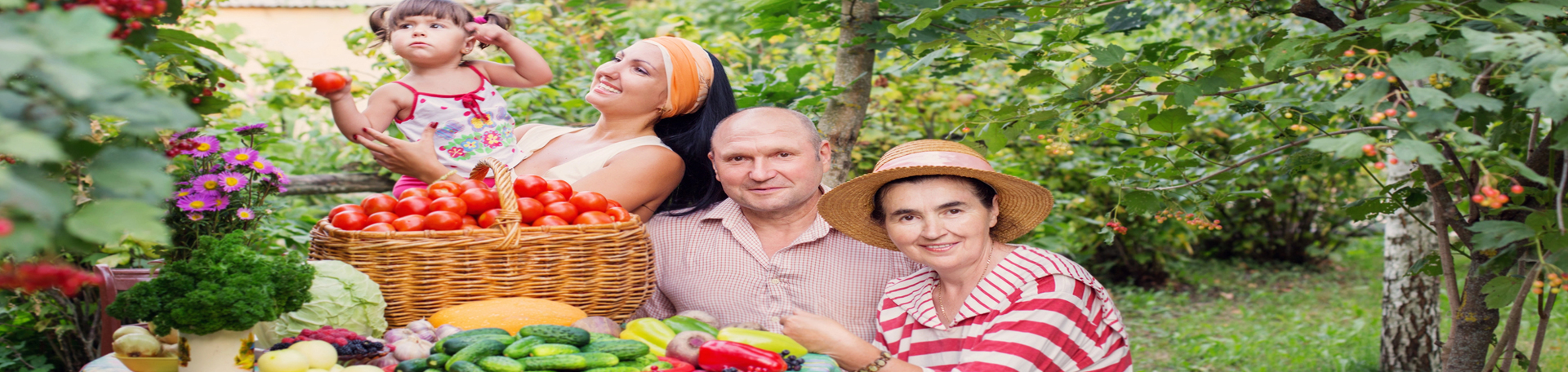  Sitka chiropractic summer health tips