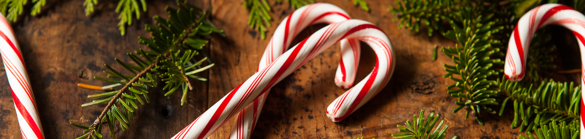 Peppermint for Sitka Cognition & Appetite Regulation!