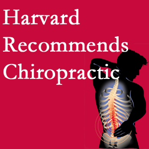 Arctic Chiropractic, Sitka offers chiropractic care like Harvard recommends.