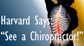 Sitka chiropractic for back pain relief urged by Harvard