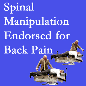Sitka chiropractic care includes spinal manipulation, an effective,  non-invasive, non-drug approach to low back pain relief.