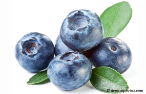 Sitka chiropractic and nutritious blueberries