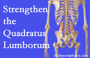 Sitka chiropractic care proposes exercise recommendations to strengthen spine muscles like the quadratus lumborum as the back heals and recovers.