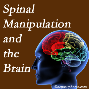 Arctic Chiropractic, Sitka [shares research on the benefits of spinal manipulation for brain function. 