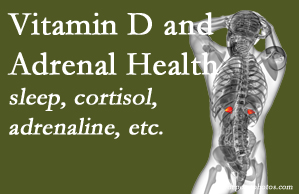 Arctic Chiropractic, Sitka shares new research about the effect of vitamin D on adrenal health and function.